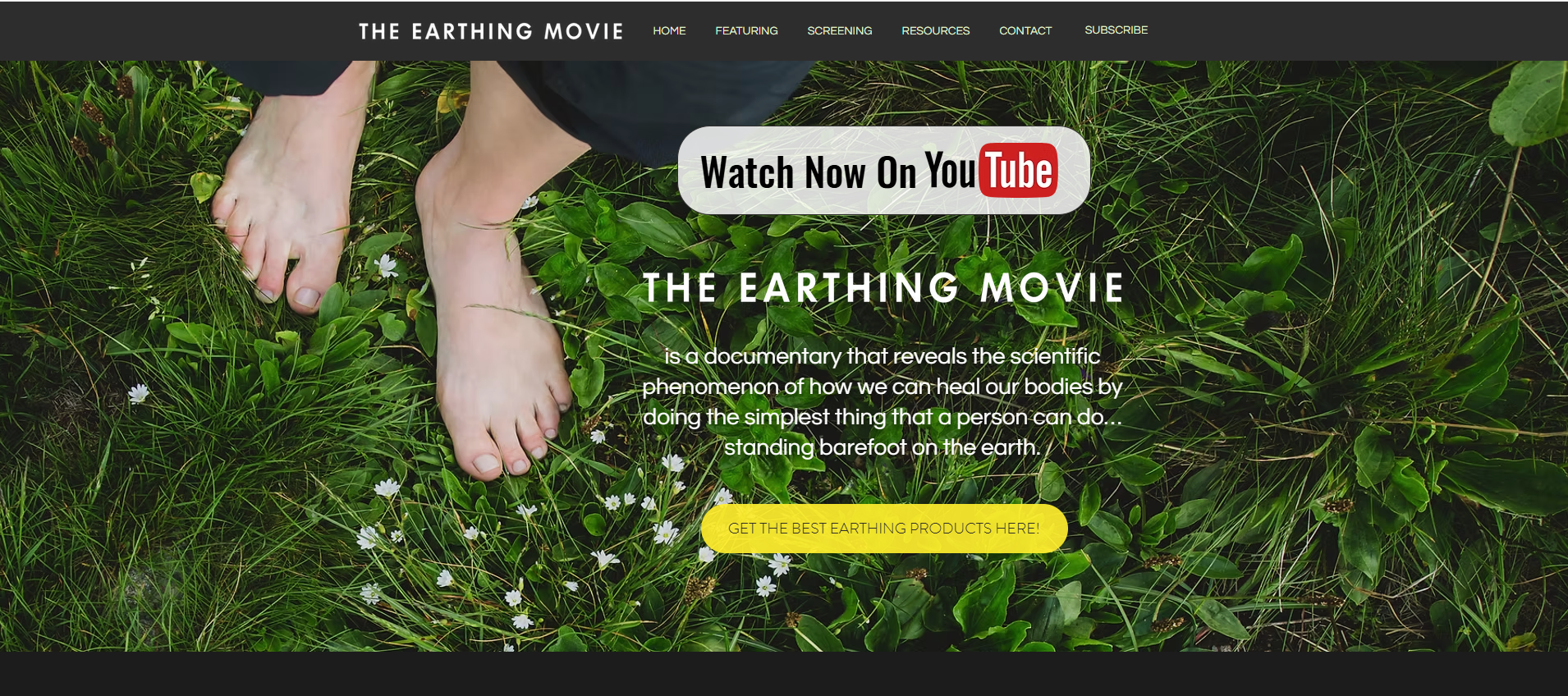 Screenshot of The Earthing Movie website