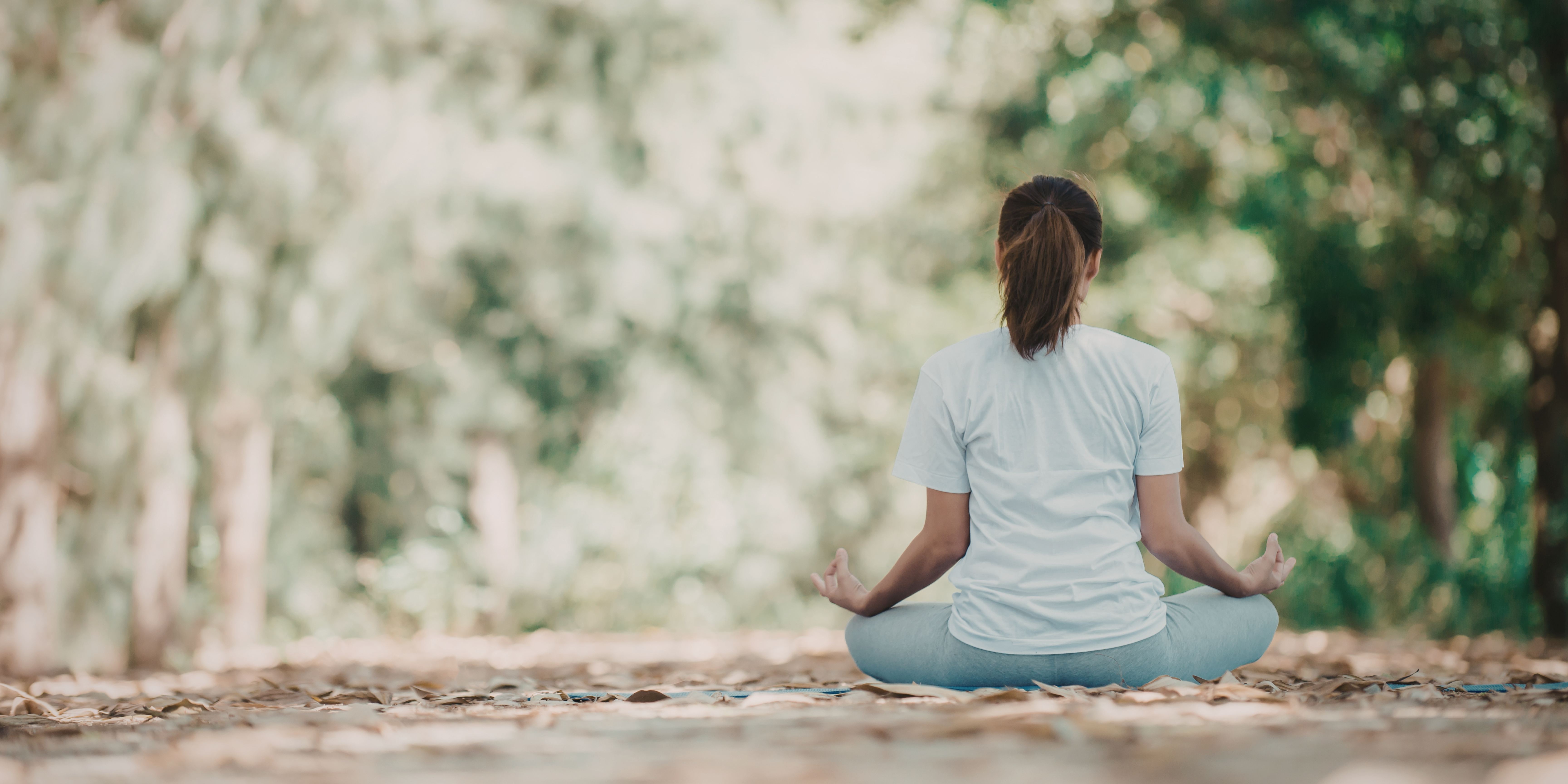 Emotional and Nervous System banner image