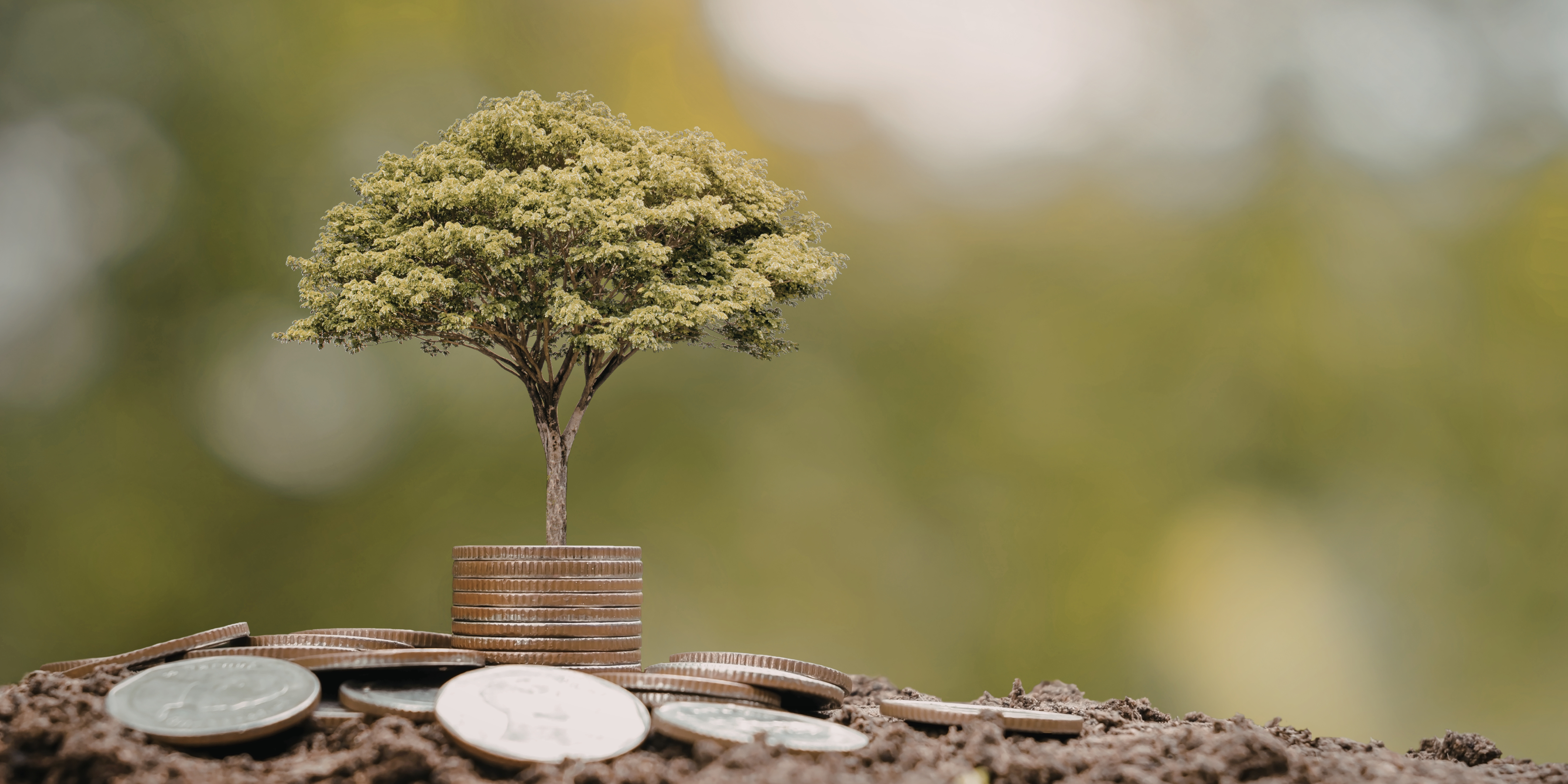 Financial banner image