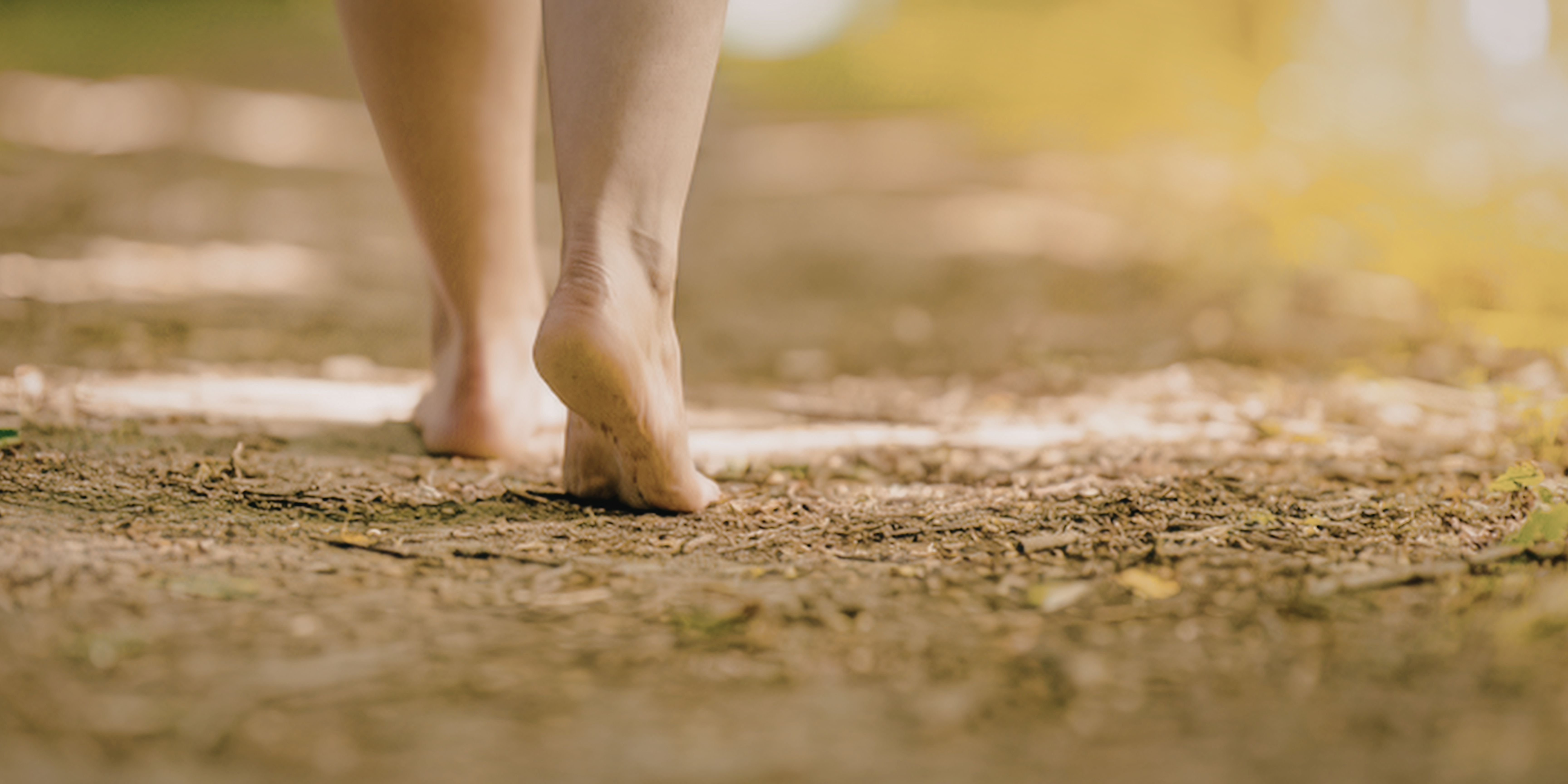 Physical banner image