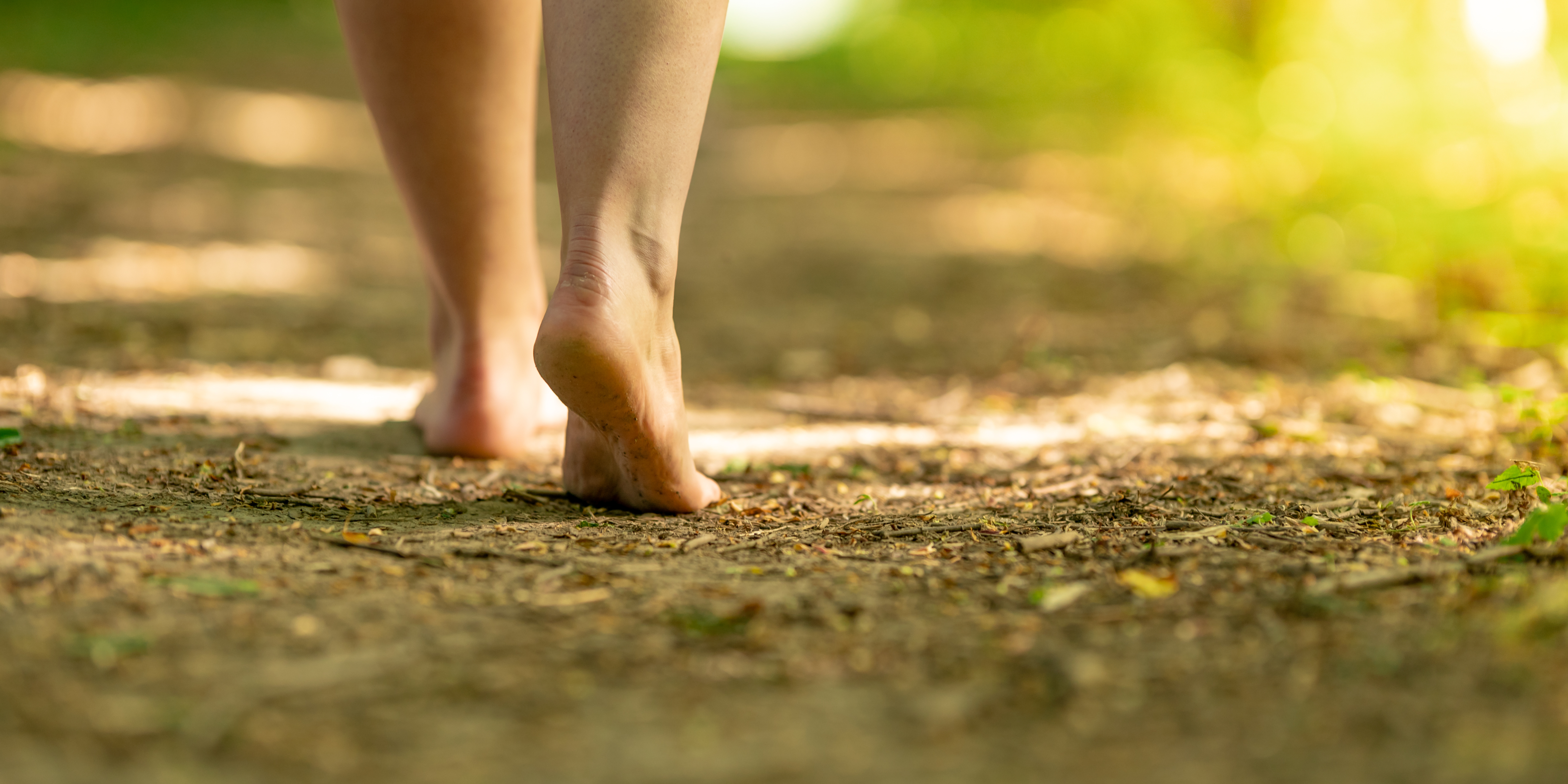 Contribution banner image